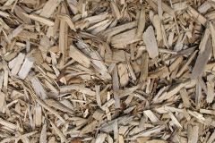biomass boilers Warcop